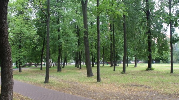 Сквер планируют обустроить на месте Ухтомского завода в Люберцах