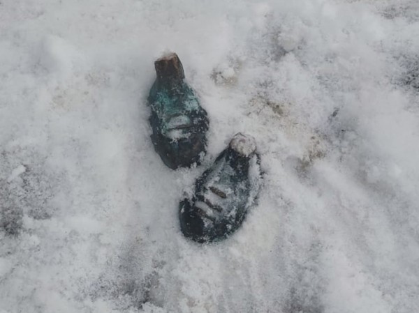 В Москве задержаны похитившие бронзовый памятник из парка школьники-вандалы