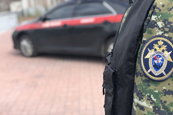 СК выясняет обстоятельства смерти пятилетней девочки от отравления в Ингушетии СК выясняет обстоятельства смерти пятилетней девочки от отравления в Ингушетии