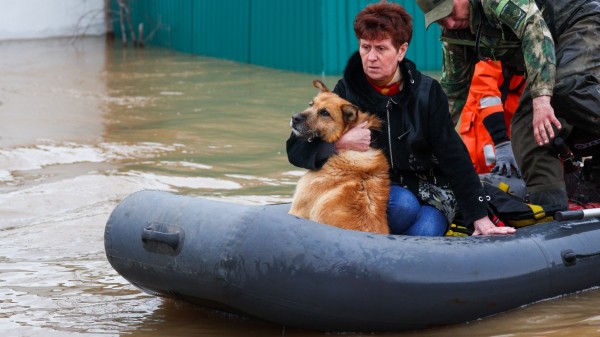 Почему уровень воды в реке Урал под Оренбургом продолжает расти и когда это закончится Почему уровень воды в реке Урал под Оренбургом продолжает расти и когда это закончится