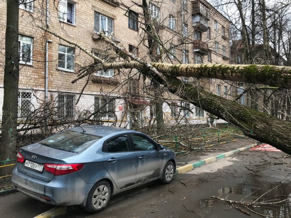 &laquo;ДТП с участием туалета&raquo;: каких бед натворил ураган в Москве и области