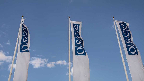 В Госдуму внесли заявление о приостановке участия России в ПА ОБСЕ