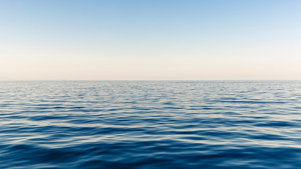 Корабль с шампанским для Николая I обнаружили на дне Балтийского моря Корабль с шампанским для Николая I обнаружили на дне Балтийского моря