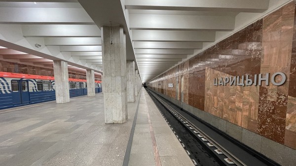 Избивший двух подростков на станции метро &laquo;Царицино&raquo; задержан