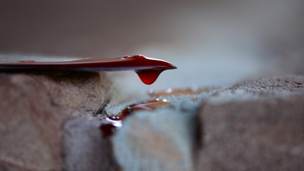 Мужчина умер после поножовщины в квартире на Ореховом бульваре Мужчина умер после поножовщины в квартире на Ореховом бульваре