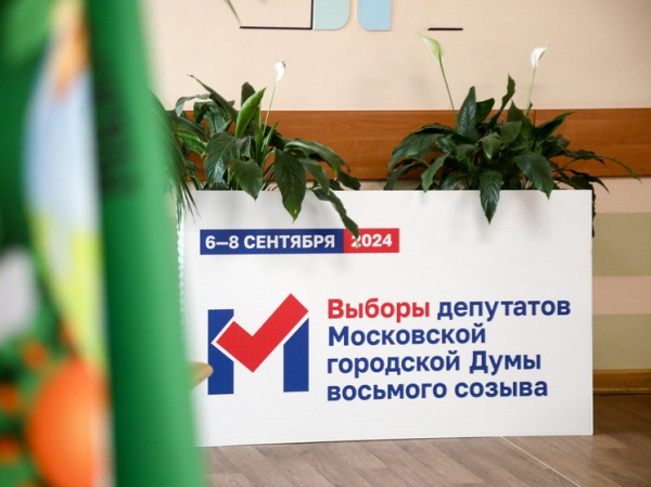 Выборы состоялись: горожане оценили преимущества онлайн-голосования