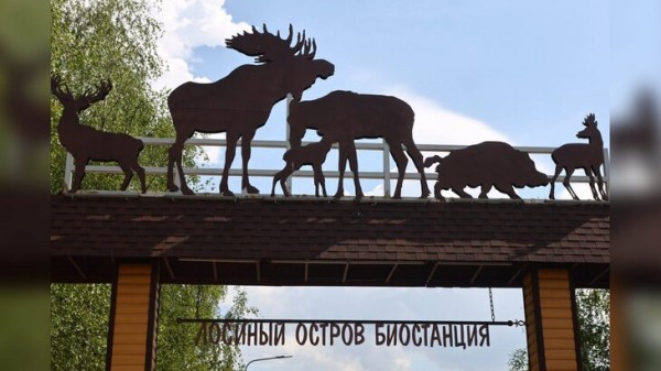 Эксперты высоко оценили программу сохранения нацпарка "Лосиный остров" Эксперты высоко оценили программу сохранения нацпарка "Лосиный остров"