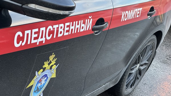 Отец четырех погибших под Красноярском детей признал вину Отец четырех погибших под Красноярском детей признал вину
