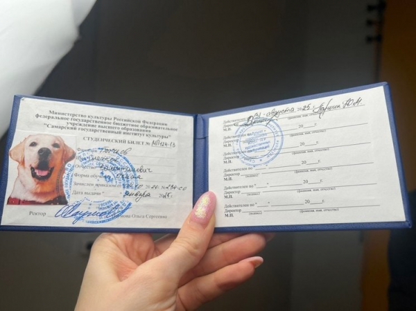 В России с Нового года появились четвероногие студенты В России с Нового года появились четвероногие студенты