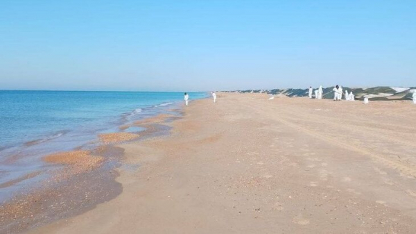 Роспотребнадзор не выявил отклонений от нормы в морской воде и песке Крыма