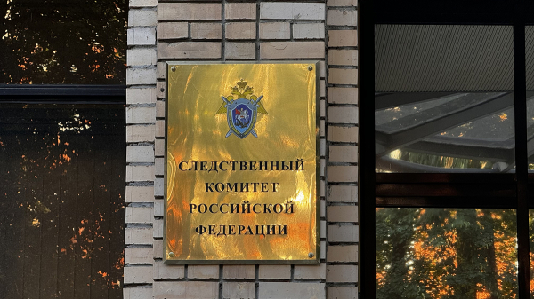 Мать, зарубившая троих детей топором в Канске, страдала шизофренией