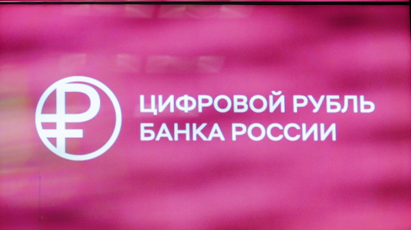 Эксперт Войлуков рассказал, когда россияне начнут использовать цифровые рубли