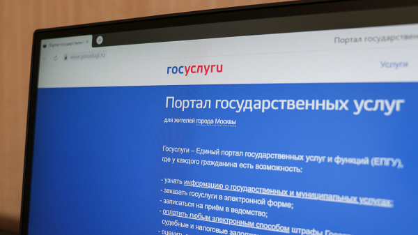 В&nbsp;МЧС планируют разместить информацию о&nbsp;бомбоубежищах на&nbsp;&laquo;Госуслугах&raquo;