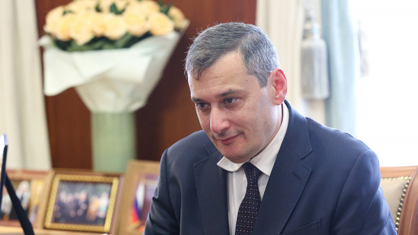 Хинштейн официально стал кандидатом в губернаторы Курской области